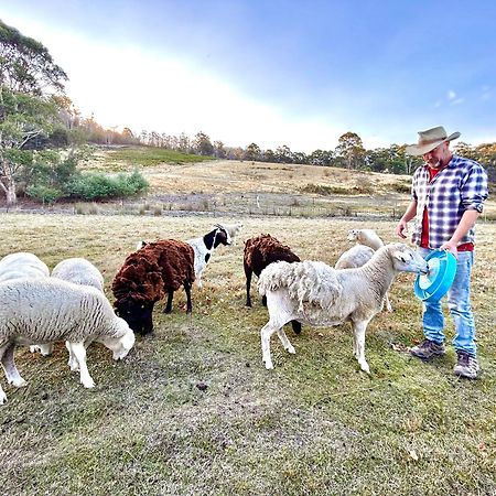 Hamlet Downs Country Accommodation Fentonbury Eksteriør billede