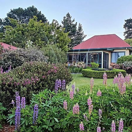 Hamlet Downs Country Accommodation Fentonbury Eksteriør billede