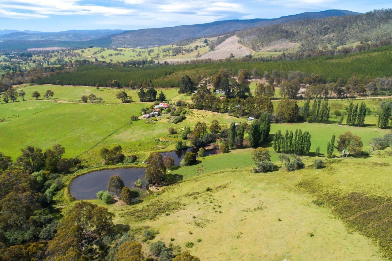 Hamlet Downs Country Accommodation Fentonbury Eksteriør billede