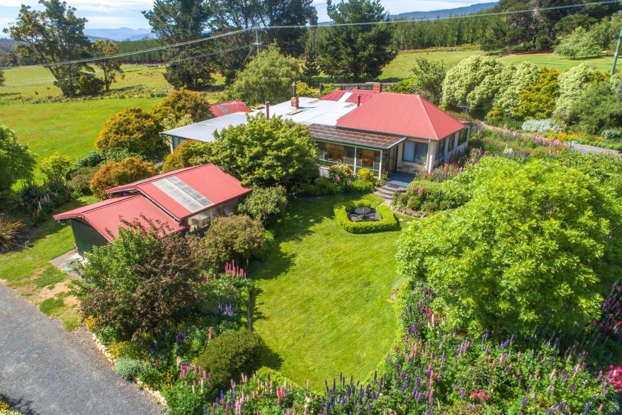 Hamlet Downs Country Accommodation Fentonbury Eksteriør billede