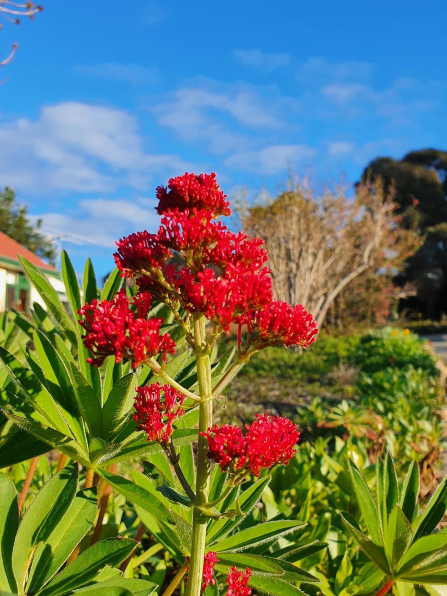 Hamlet Downs Country Accommodation Fentonbury Eksteriør billede