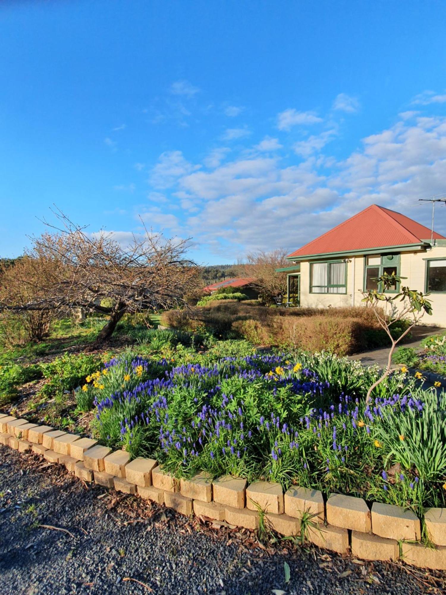 Hamlet Downs Country Accommodation Fentonbury Eksteriør billede