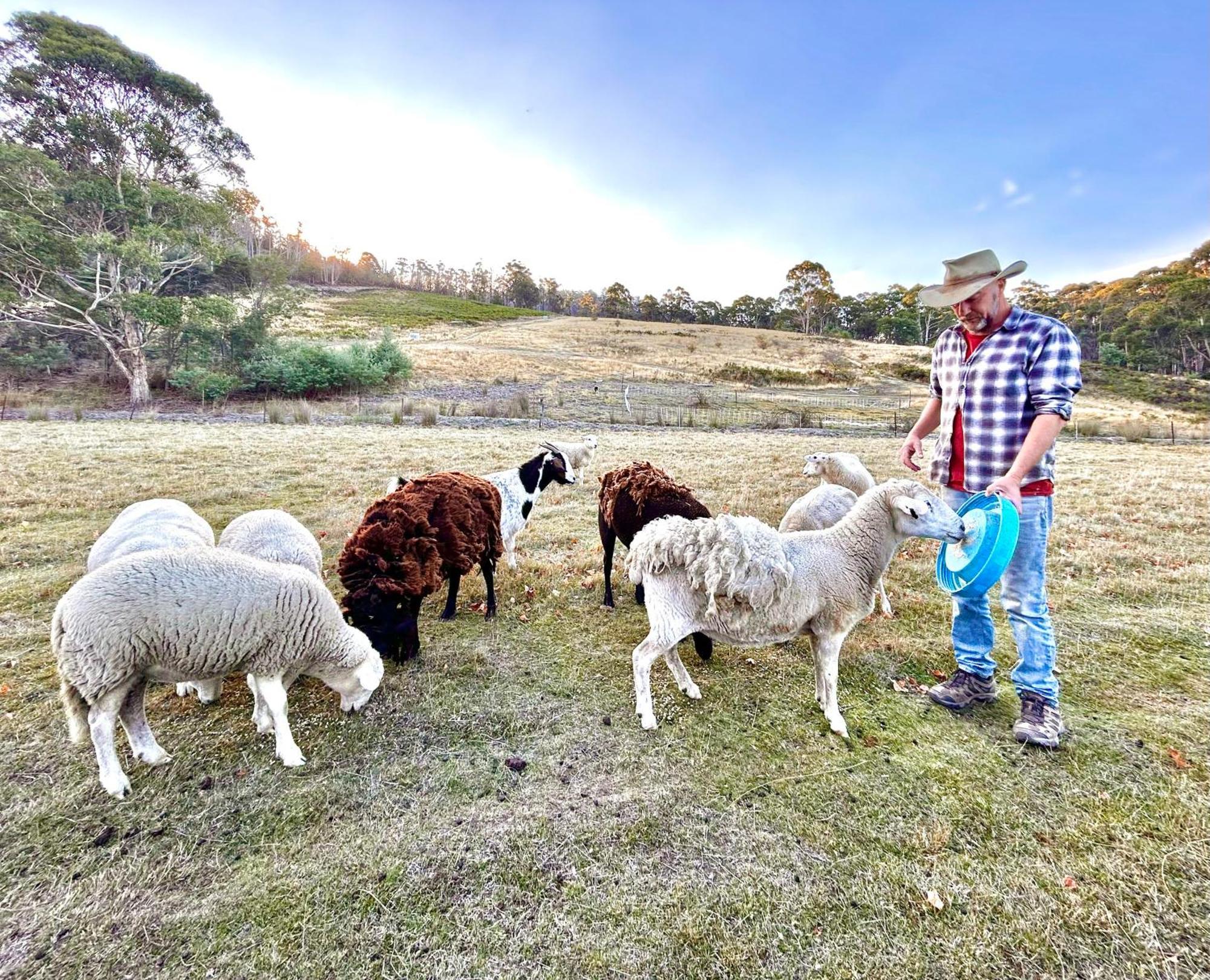 Hamlet Downs Country Accommodation Fentonbury Eksteriør billede
